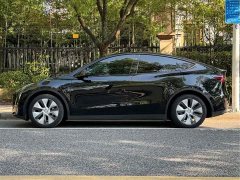 Tesla Model Y Edition - ფოტო 3