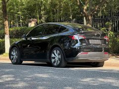 Tesla Model Y Edition - ფოტო 4