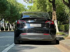 Tesla Model Y Edition - ფოტო 5