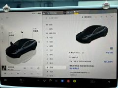 Tesla Model 3 Edition - ფოტო 7