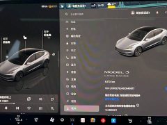 Tesla Model 3 Long Range Edition - ფოტო 7