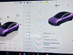 Tesla Model 3 Edition - ფოტო 7