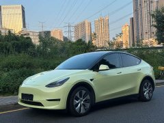 Tesla Model Y Long Range Edition 3D5 - ფოტო 1