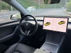 Tesla Model Y Long Range Edition 3D5 - ფოტო 12