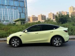 Tesla Model Y Long Range Edition 3D5 - ფოტო 14