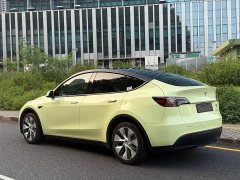 Tesla Model Y Long Range Edition 3D5 - ფოტო 15