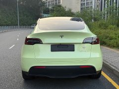 Tesla Model Y Long Range Edition 3D5 - ფოტო 16