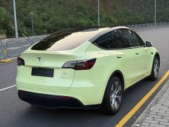 Tesla Model Y Long Range Edition 3D5 - ფოტო 17