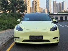 Tesla Model Y Long Range Edition 3D5 - ფოტო 2