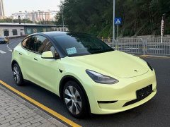 Tesla Model Y Long Range Edition 3D5 - ფოტო 3