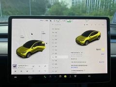 Tesla Model Y Long Range Edition 3D5 - ფოტო 9