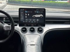 Changan smart#3 Version Edition - ფოტო 13