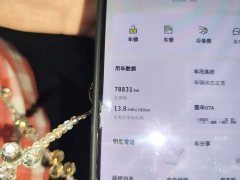 Changan smart#3 PulseAWD Edition - ფოტო 13