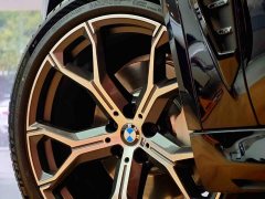 BMW X5 xDrive 30Li Deluxe VersionM - ფოტო 4