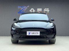 Tesla Model Y Edition - ფოტო 2