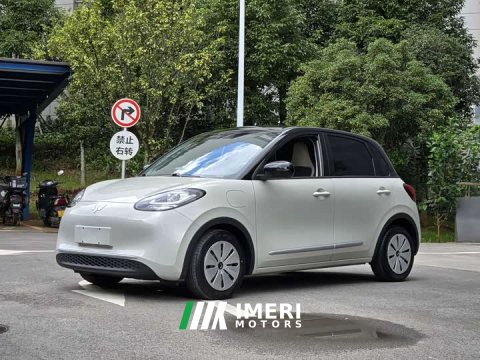 2024 Wuling 333km - ავტომობილი ჩინეთიდან