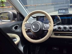 Wuling 333km - ფოტო 15