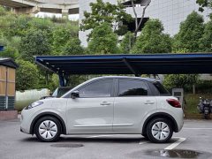 Wuling 333km - ფოტო 4