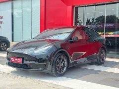 Tesla Model Y Long Range Edition - ფოტო 1