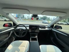 Tesla Model Y Long Range Edition - ფოტო 11