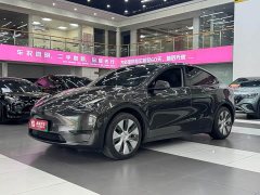 Tesla Model Y Edition - ფოტო 1