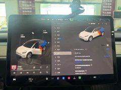 Tesla Model Y Edition - ფოტო 16