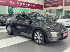 Tesla Model Y Edition - ფოტო 3
