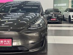 Tesla Model Y Edition - ფოტო 8