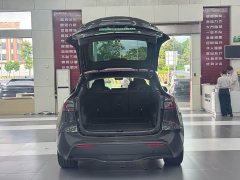 Tesla Model Y Edition - ფოტო 9