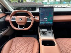 Changan 1.5T GDI Flagship Version - ფოტო 17