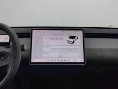 1.3T firefly Edition - ფოტო 12