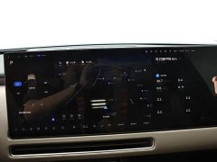 Li Auto L9 Ultra - ფოტო 11