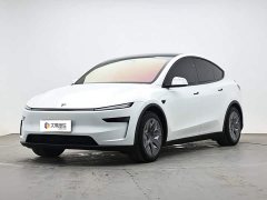 Tesla Model Y L Long Range Edition - ფოტო 1