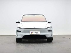 Tesla Model Y L Long Range Edition - ფოტო 2