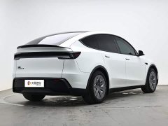 Tesla Model Y L Long Range Edition - ფოტო 3
