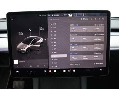 Tesla Model Y Edition - ფოტო 11