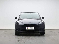 Tesla Model Y Edition - ფოტო 2