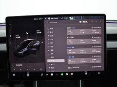 Tesla Model Y Edition - ფოტო 11