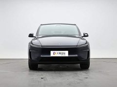 Tesla Model Y Edition - ფოტო 2