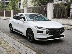 1.5T EcoBoost Luxury Version - ფოტო 3