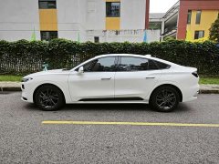 1.5T EcoBoost Luxury Version - ფოტო 8