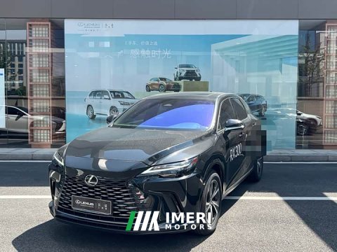 2024 Lexus RX 300 AWD Edition - ავტომობილი ჩინეთიდან