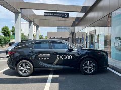 Lexus RX 300 AWD Edition - ფოტო 11