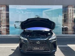 Lexus RX 300 AWD Edition - ფოტო 3