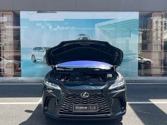 Lexus RX 300 AWD Edition - ფოტო 4