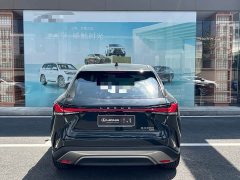 Lexus RX 300 AWD Edition - ფოტო 8