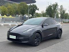 Tesla Model Y Edition - ფოტო 1