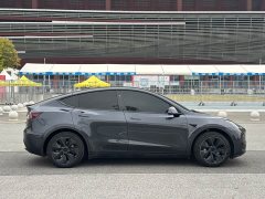 Tesla Model Y Edition - ფოტო 14