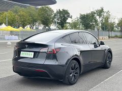 Tesla Model Y Edition - ფოტო 15