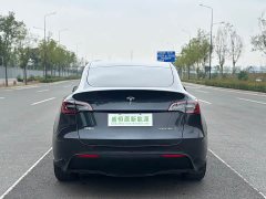 Tesla Model Y Edition - ფოტო 16